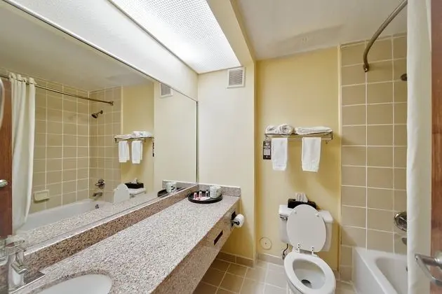 Standard Oda, 1 En Büyük (King) Boy Yatak, Buzdolabı