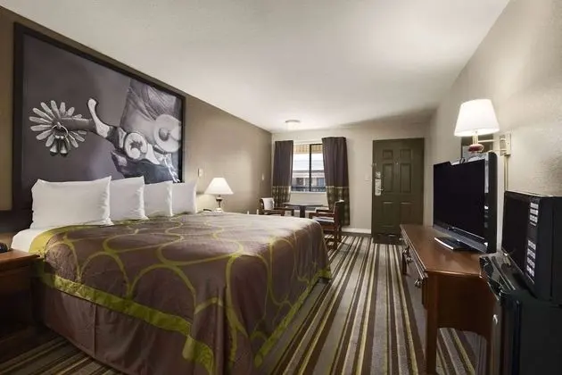 Oda, 1 En Büyük (King) Boy Yatak, Engellilere Uygun, Sigara İçilmez (Mobility,Roll-In Shower)