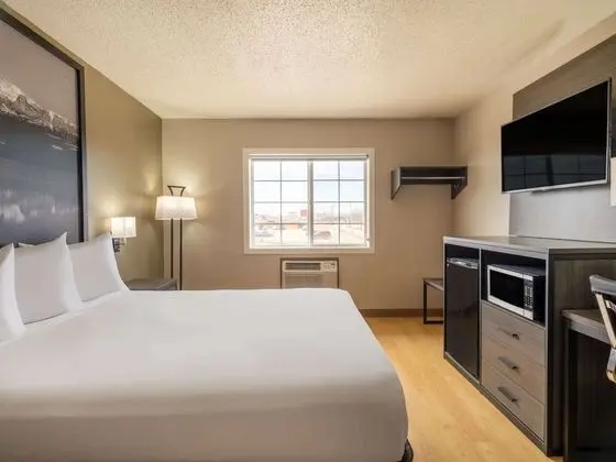 Standard Oda, 1 Büyük (Queen) Boy Yatak