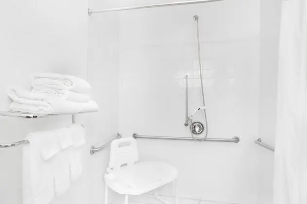 Oda, 1 En Büyük (King) Boy Yatak, Engellilere Uygun, Sigara İçilmez (Bathtub)