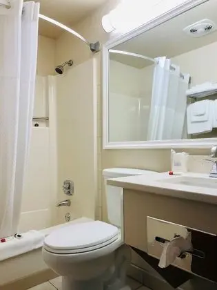 Stüdyo Süit, Birden Çok Yatak, Sigara İçilmez
