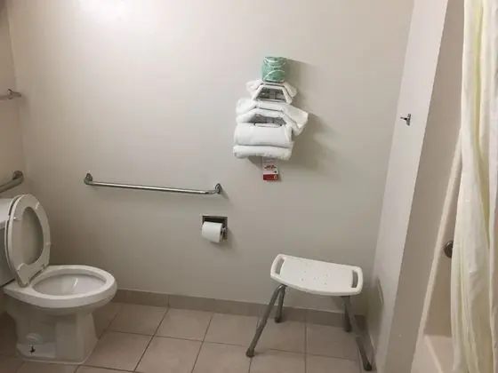 Oda, 1 En Büyük (King) Boy Yatak, Engellilere Uygun, Sigara İçilmez (Roll-In Shower)