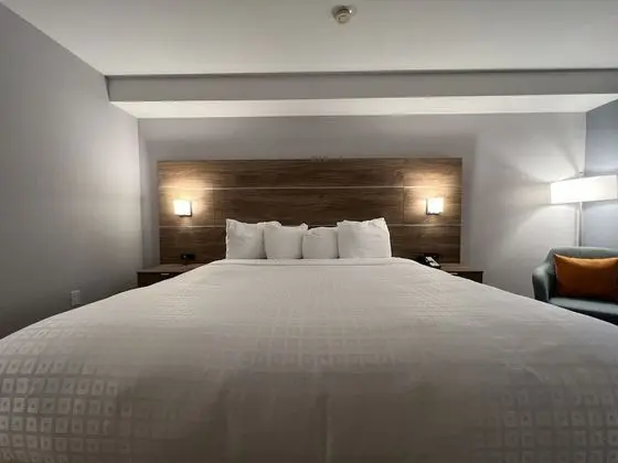 Standard Oda, 1 En Büyük (King) Boy Yatak