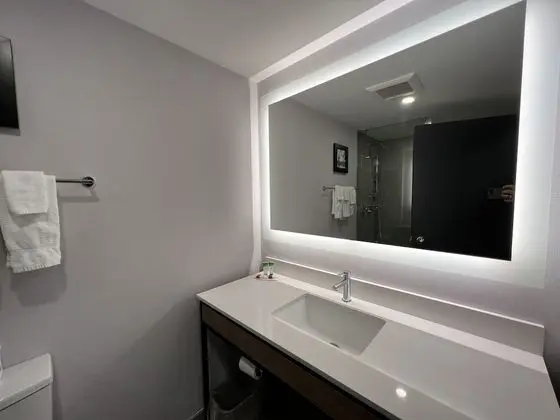 Deluxe Stüdyo Süit, 1 En Büyük (King) Boy Yatak, Sigara İçilmez