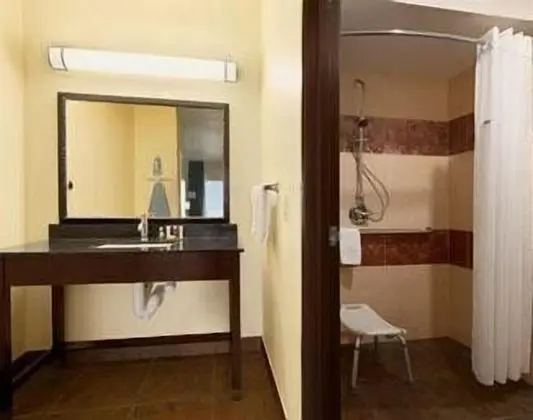 Oda, 1 En Büyük (King) Boy Yatak, Engellilere Uygun, Sigara İçilmez (Roll-In Shower)