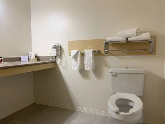Deluxe Oda, 1 Büyük (Queen) Boy Yatak, Engellilere Uygun, Sigara İçilmez (Mobility)