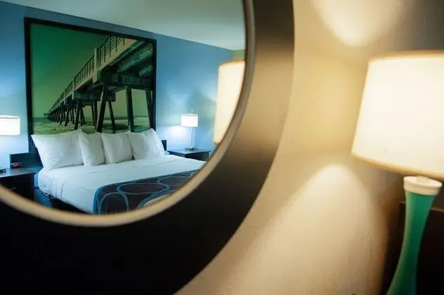 Standard Oda, 1 En Büyük (King) Boy Yatak, Sigara İçilebilir