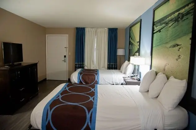 Tek Büyük Yataklı Oda, 2 Çift Kişilik Yatak, Sigara İçilebilir