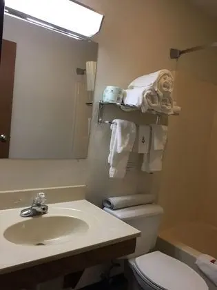 Tek Büyük Yataklı Oda, 2 Çift Kişilik Yatak, Sigara İçilebilir