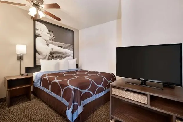Süit, Birden Çok Yatak, Sigara İçilmez (One-Bedroom)