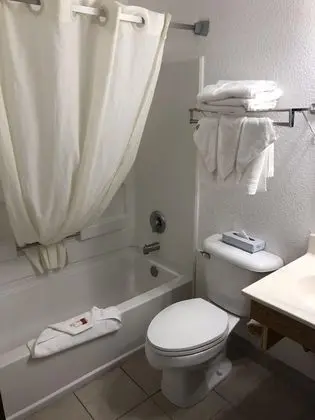 Deluxe Stüdyo Süit, 1 En Büyük (King) Boy Yatak, Sigara İçilmez