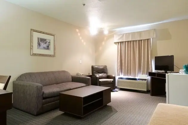 Oda, 1 En Büyük (King) Boy Yatak, Sigara İçilmez (One-Bedroom Suite)