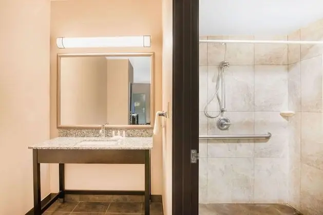 Oda, 1 En Büyük (King) Boy Yatak, Engellilere Uygun, Sigara İçilmez (Mobility,Roll-In Shower)