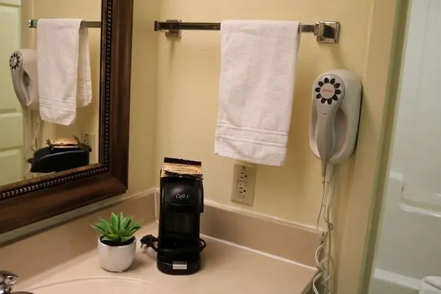 Oda, 1 En Büyük (King) Boy Yatak, Engellilere Uygun, Sigara İçilmez (Mobility Accessible)