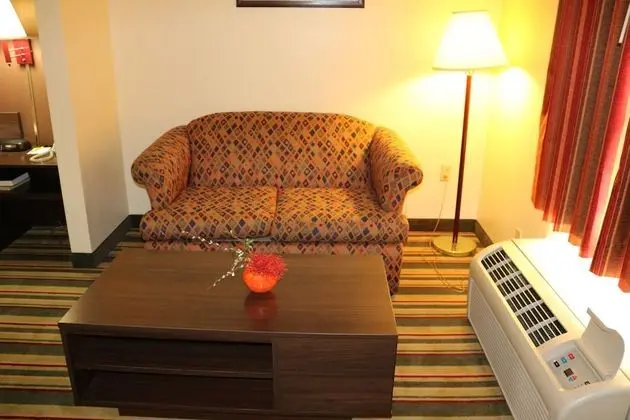 Stüdyo Süit, 1 En Büyük (King) Boy Yatak, Sigara İçilmez