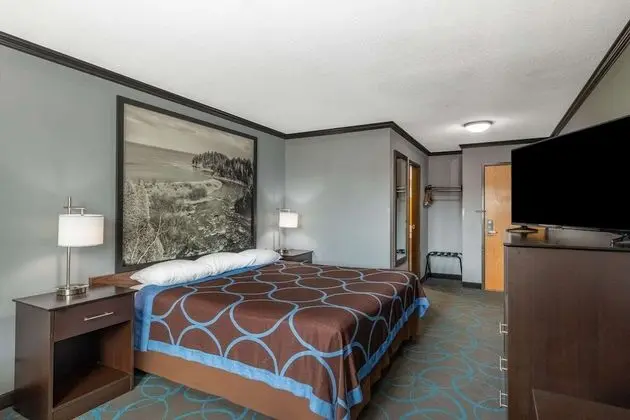 Oda, 1 En Büyük (King) Boy Yatak, Sigara İçilmez (Pet Friendly)