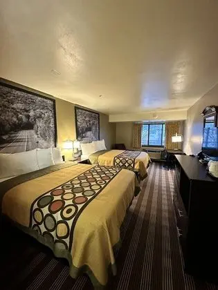 Oda, 2 Büyük (Queen) Boy Yatak, Sigara İçilmez (Pet Friendly)