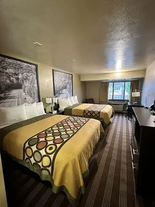 Oda, 2 Büyük (Queen) Boy Yatak, Sigara İçilmez (Pet Friendly)