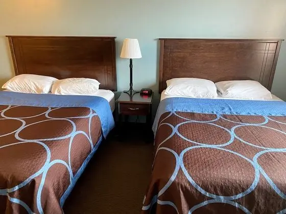 Oda, 2 Büyük (Queen) Boy Yatak, Sigara İçilmez (Pet Friendly)