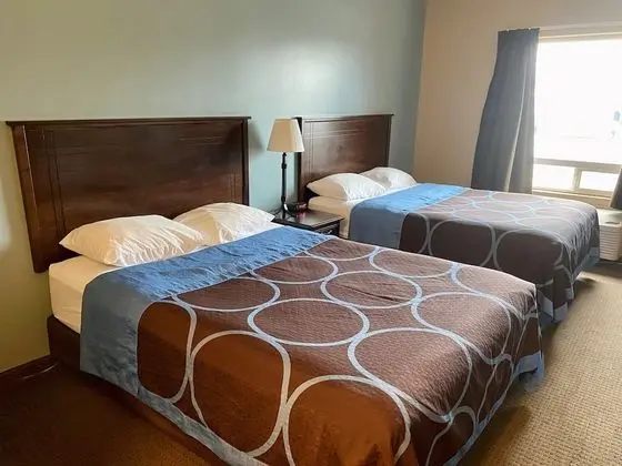 Oda, 2 Büyük (Queen) Boy Yatak, Sigara İçilmez (Pet Friendly)