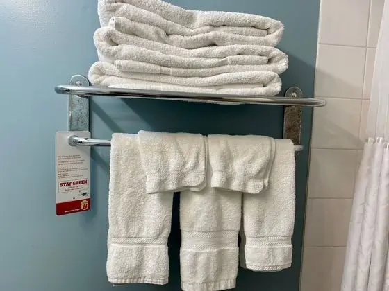 Oda, 2 Büyük (Queen) Boy Yatak, Sigara İçilmez (Pet Friendly)