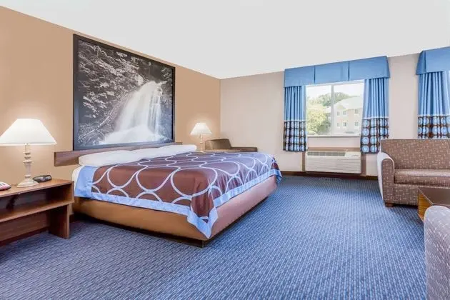 Stüdyo Süit, 1 En Büyük (King) Boy Yatak, Engellilere Uygun, Sigara İçilmez