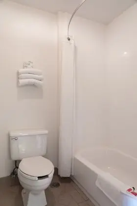 Stüdyo Süit, 1 En Büyük (King) Boy Yatak ve Çekyat, Sigara İçilmez