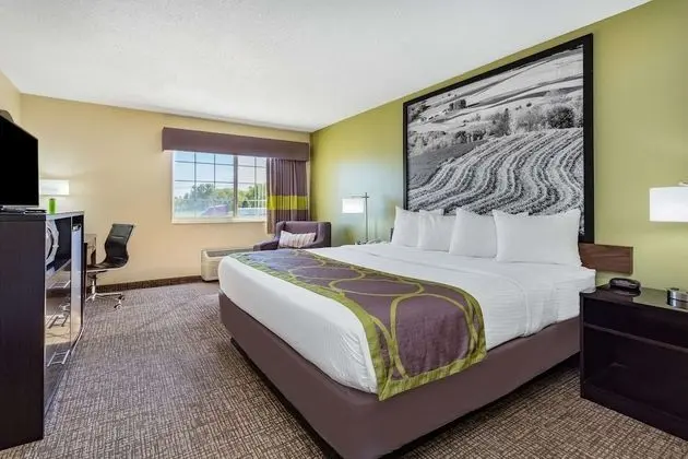 Standard Oda, 1 En Büyük (King) Boy Yatak, Sigara İçilmez