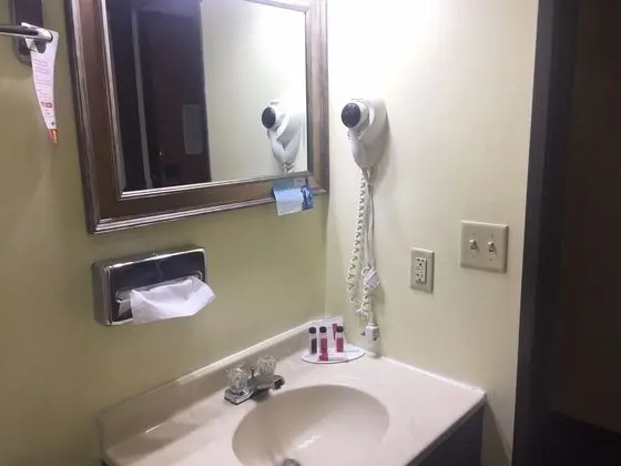 Oda, 1 En Büyük (King) Boy Yatak, Sigara İçilmez (Pet-Friendly)
