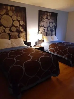 Oda, 2 Çift Kişilik Yatak, Sigara İçilmez