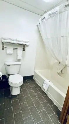 Deluxe Oda, 1 En Büyük (King) Boy Yatak, Sigara İçilmez (Spa Bath)