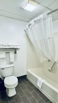 Deluxe Oda, 1 En Büyük (King) Boy Yatak, Sigara İçilmez (Spa Bath)