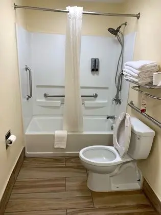 Oda, 1 En Büyük (King) Boy Yatak, Engellilere Uygun, Sigara İçilmez (Mobility)