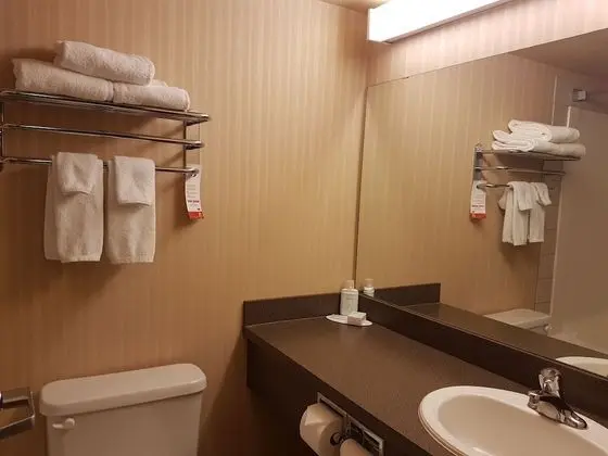 Süit, 1 Yatak Odası, Sigara İçilebilir