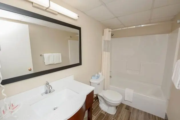 Oda, 2 Çift Kişilik Yatak, Sigara İçilmez (Pet Friendly)