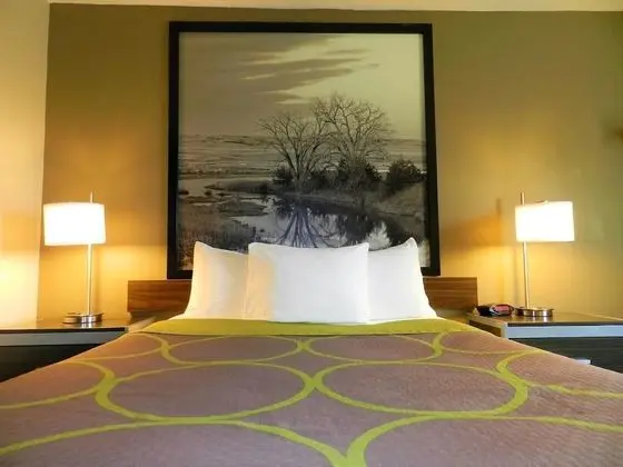 Oda, 1 Büyük (Queen) Boy Yatak, Sigara İçilmez (Pet Friendly)