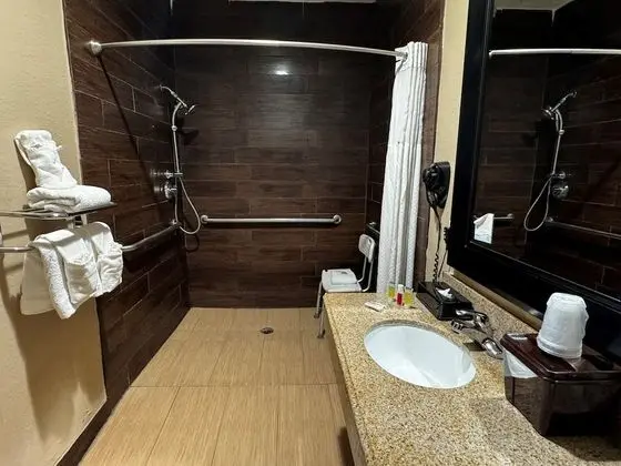 Oda, 1 Büyük (Queen) Boy Yatak, Engellilere Uygun, Sigara İçilmez (Roll-In Shower)