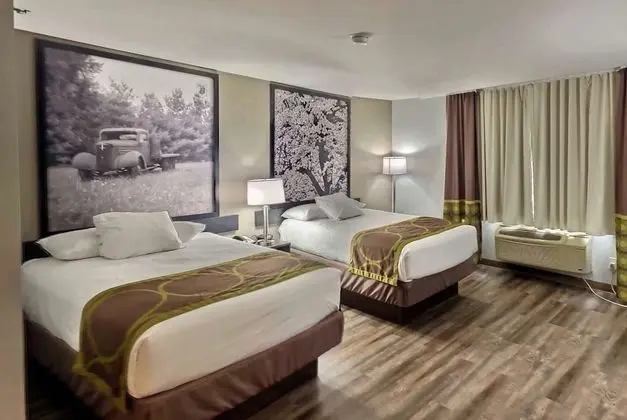 Stüdyo Süit, Birden Çok Yatak, Sigara İçilmez (2 Double Beds and Sofa Bed)