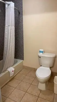 Deluxe Oda, 1 En Büyük (King) Boy Yatak, Engellilere Uygun, Sigara İçilmez