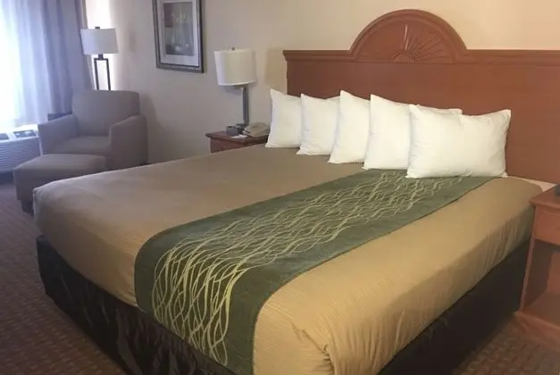 Oda, 1 En Büyük (King) Boy Yatak, Engellilere Uygun, Sigara İçilmez