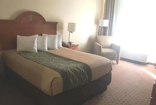 Oda, 1 En Büyük (King) Boy Yatak, Engellilere Uygun, Sigara İçilmez