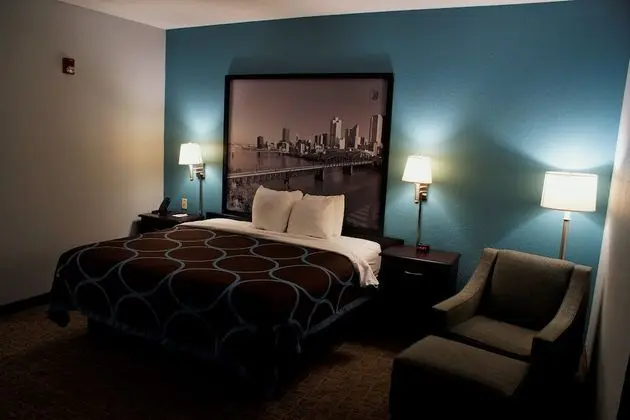 Oda, 1 En Büyük (King) Boy Yatak, Engellilere Uygun, Sigara İçilmez (Mobility Accessible)