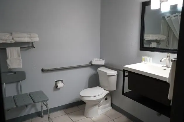 Oda, 1 En Büyük (King) Boy Yatak, Engellilere Uygun, Sigara İçilmez (Mobility Accessible)