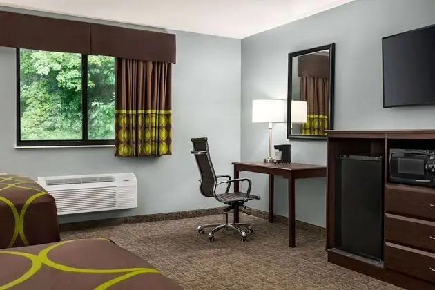 Standard Tek Büyük Yataklı Oda, 2 Çift Kişilik Yatak, Sigara İçilebilir