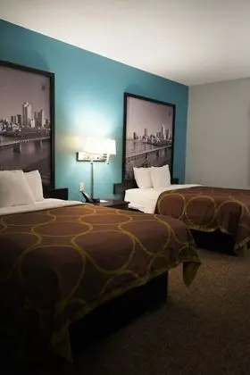 Standard Tek Büyük Yataklı Oda, 2 Çift Kişilik Yatak, Sigara İçilebilir