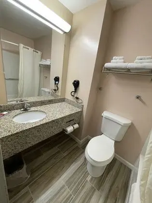 Standard Tek Büyük Yataklı Oda, 2 Çift Kişilik Yatak, Sigara İçilebilir