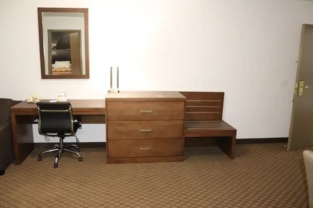 Executive Süit, 1 Büyük (Queen) Boy Yatak, Sigara İçilmez