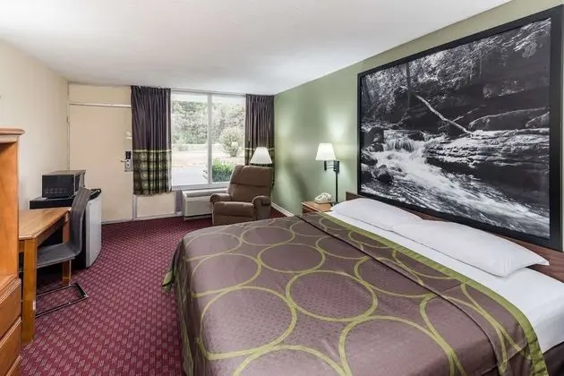 Oda, 1 En Büyük (King) Boy Yatak, Engellilere Uygun, Sigara İçilmez (Mobility)