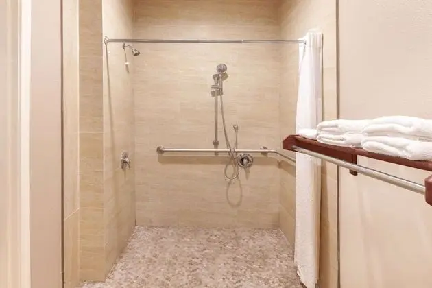 Deluxe Oda, 2 Büyük (Queen) Boy Yatak, Engellilere Uygun (Mobility,Hearing,Roll-In Shower)