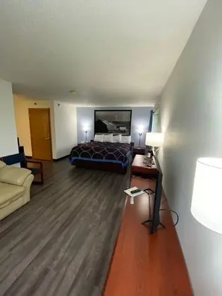 Stüdyo Süit, 1 En Büyük (King) Boy Yatak, Sigara İçilmez